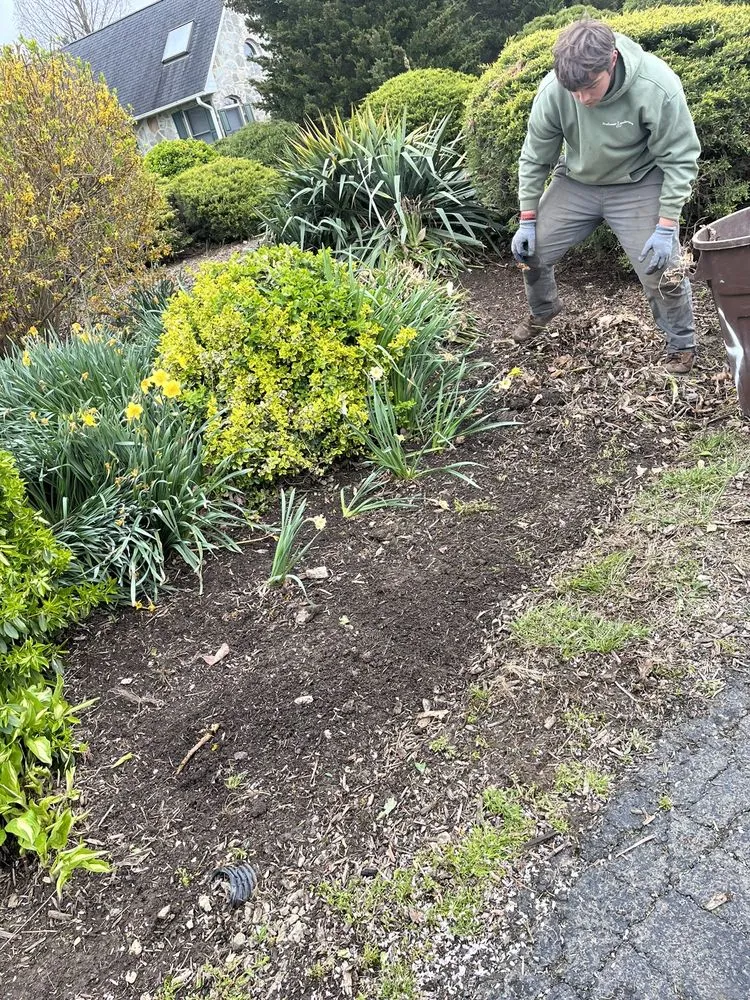 Expert residential landscaping in Elsmere, DE by Restoring Roots