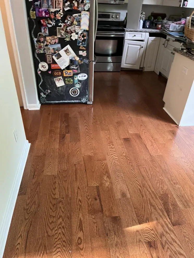 Top-rated yard maintenance in Elsmere, DE by Restoring Roots