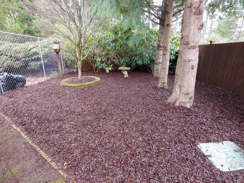 Trusted residential landscaping in Florence, OR by Restoring Roots