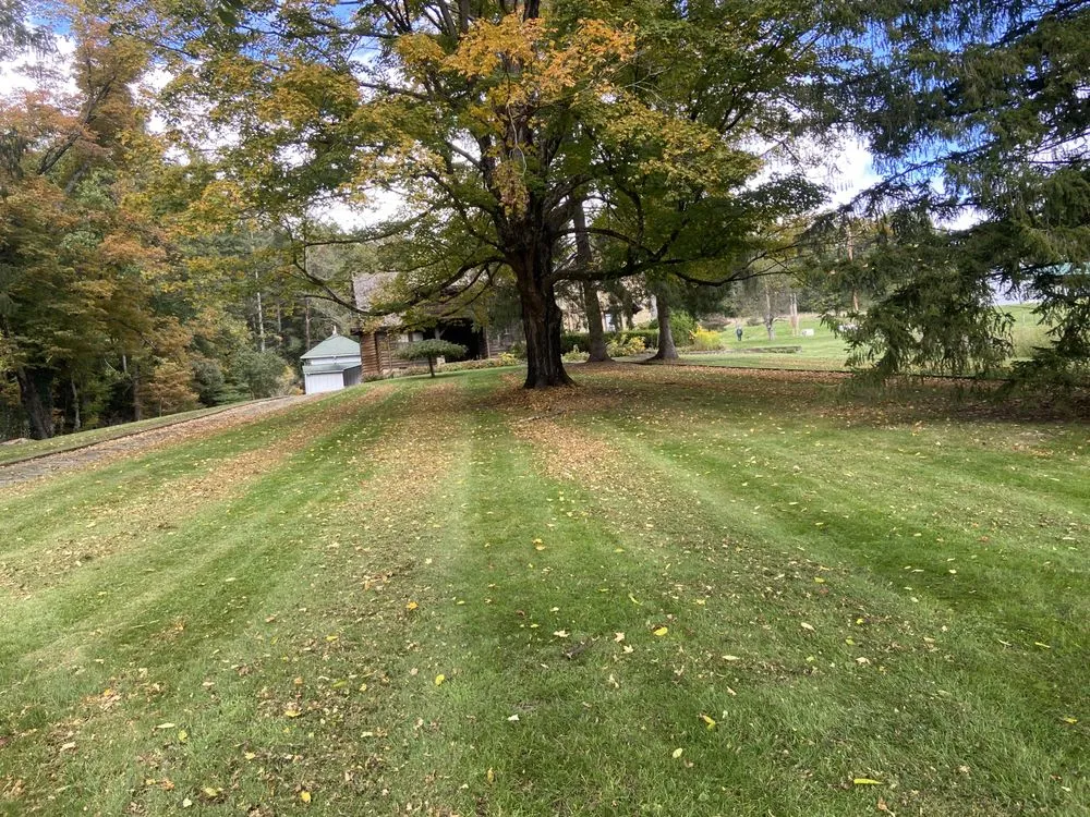 Top-rated residential landscaping for residential properties in Bluefield, VA by Restoring Roots Landscaping