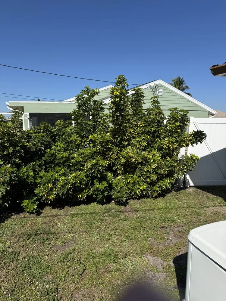 Expert landscape installation for residential properties in Cape Coral, FL by Resto's Lawn Care Services