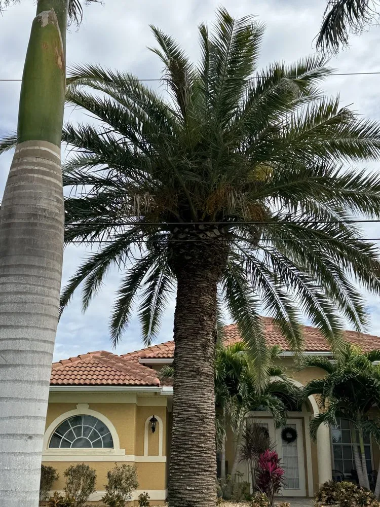 Top-rated residential landscaping with custom design across Cape Coral, FL - Resto's Lawn Care Services