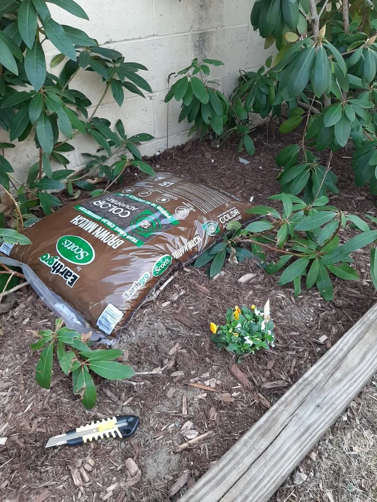 Trusted yard cleanup service in Lawrence, MA - Resto's Universal Services