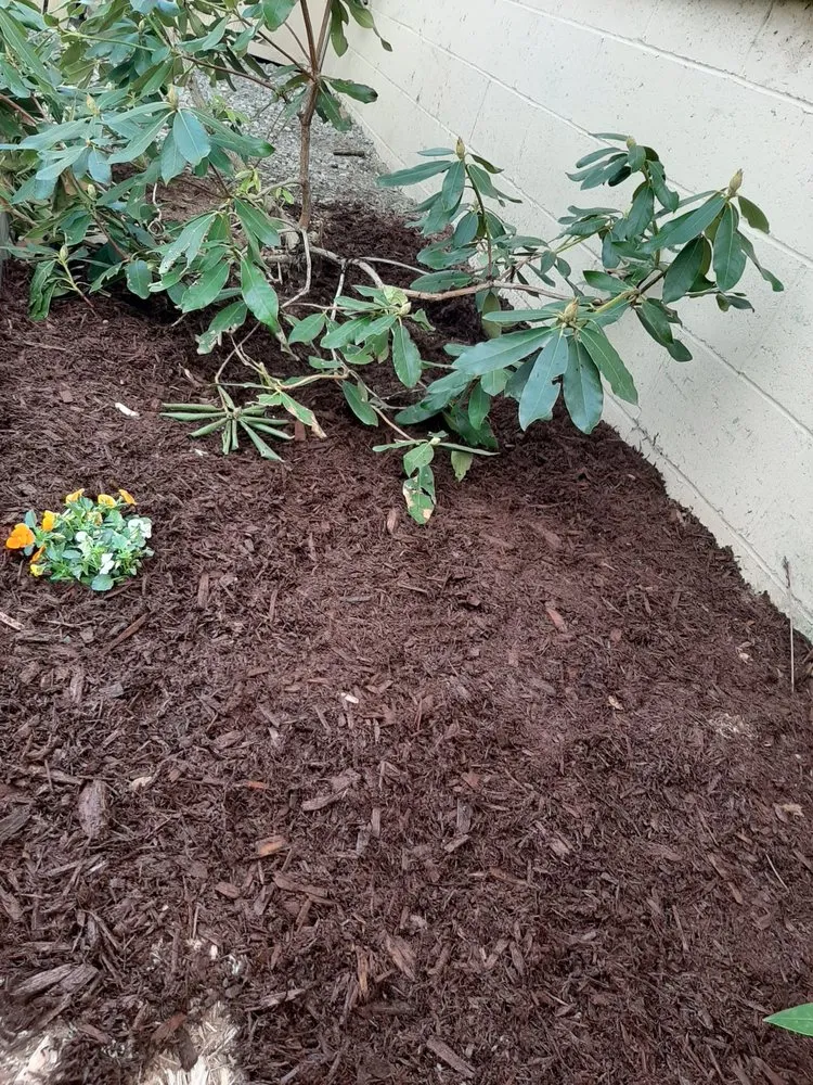 Local landscaping services in Lawrence, MA by Resto's Universal Services