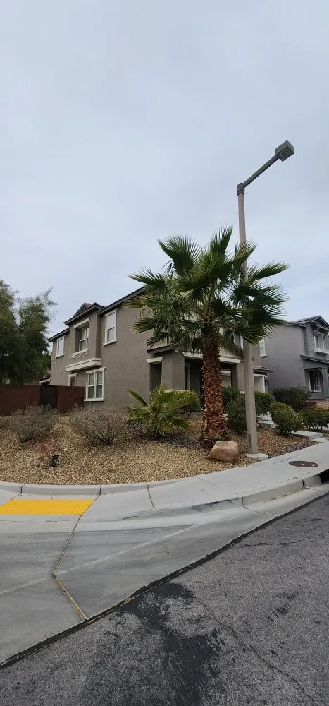 Trusted landscape design near you in Las Vegas, NV by Results Landscape Services