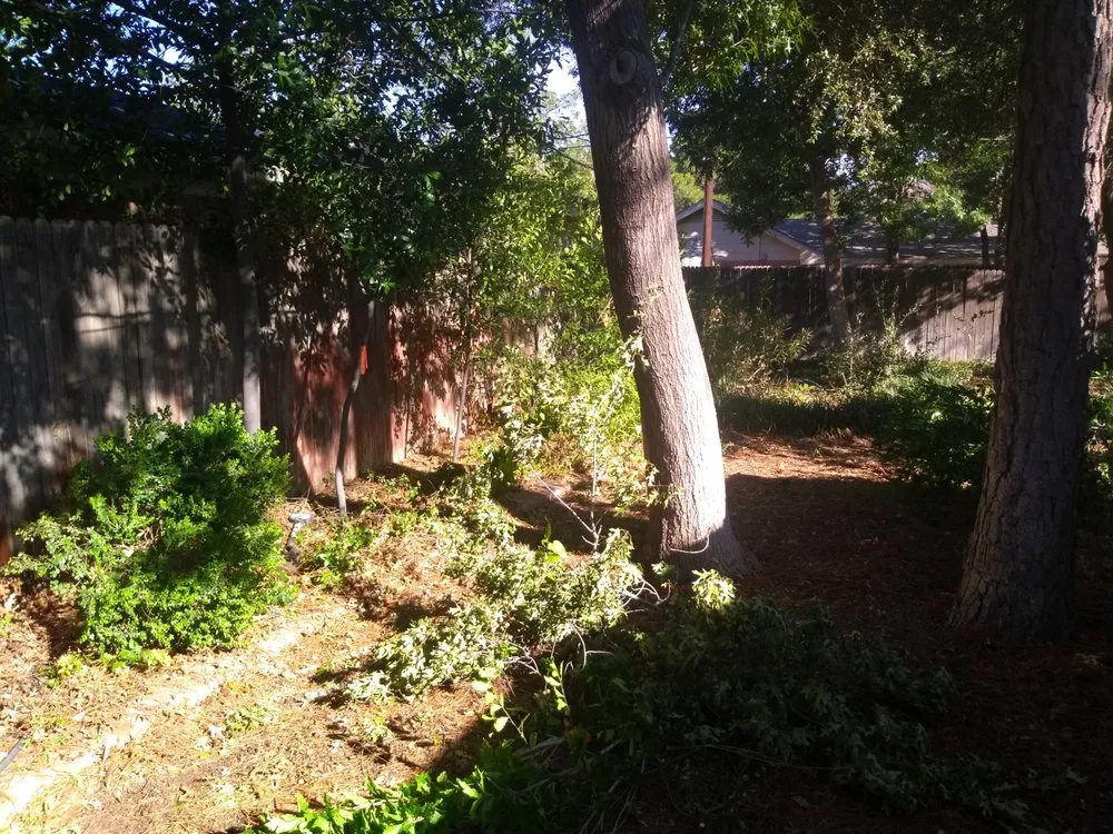 Expert lawn care service experts serving Midland, TX - Resurrection Landscaping And Maintenance