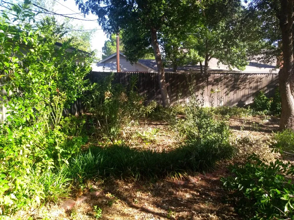 Expert residential landscaping experts serving Midland, TX - Resurrection Landscaping And Maintenance