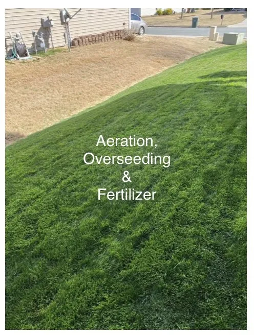 Top-rated lawn care service for outdoor upgrades across McLeansville, NC - Resurrection Lawn Service