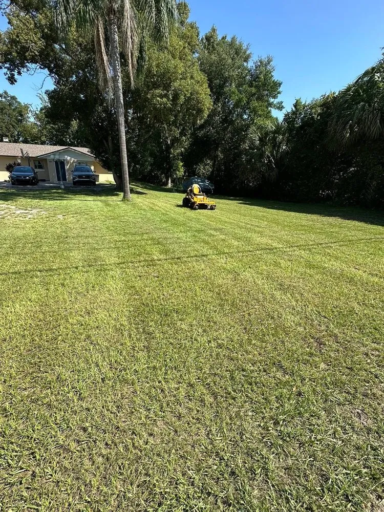 Reliable yard cleanup service in Winter Springs, FL - RET lawn service and Landscaping