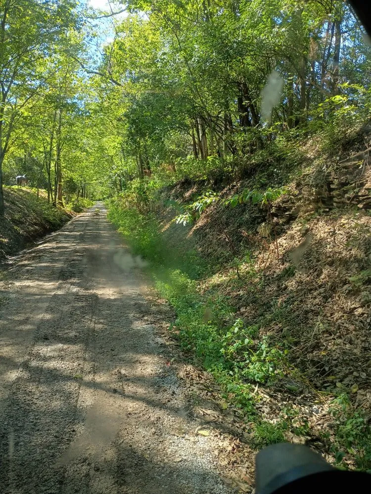 Local garden landscaping in Georgetown, KY - Retaining Wall And Bobcat Services