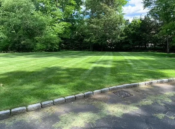 Expert lawn mowing service with custom design in Stamford, CT by Retana Landscaping