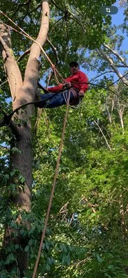 Retana Landscaping Logo