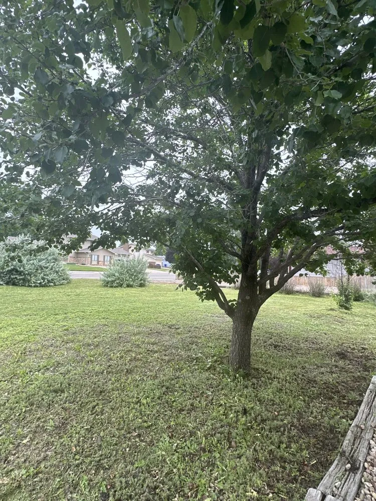 Expert landscape design for year-round maintenance across Platteville, CO - Retriever Landscaping