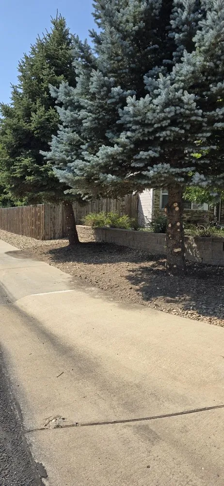 Affordable landscape design for outdoor upgrades across Platteville, CO - Retriever Landscaping
