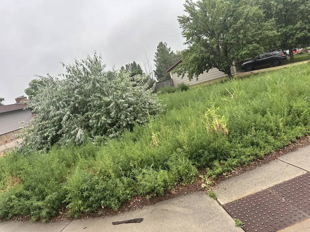 Top-rated garden landscaping experts serving Platteville, CO - Retriever Landscaping