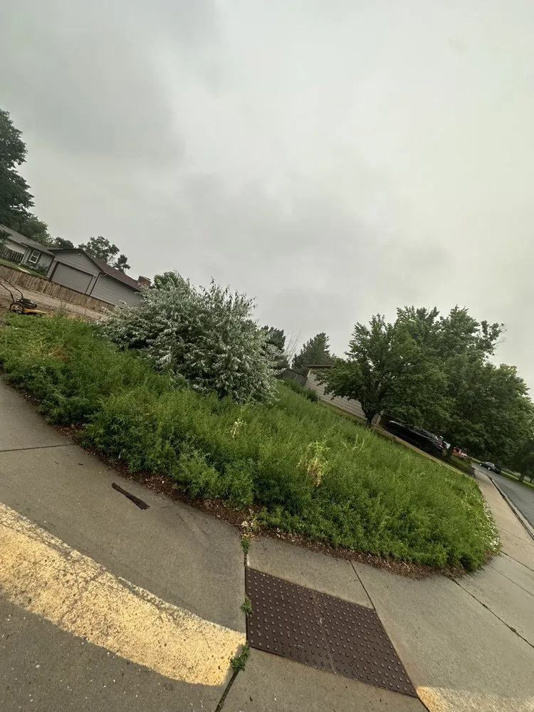 Top-rated lawn mowing service experts serving Platteville, CO - Retriever Landscaping