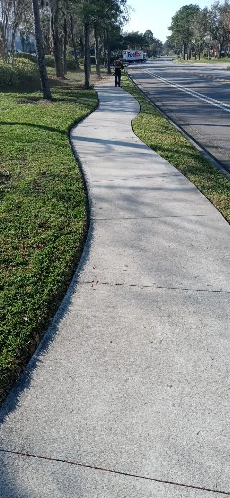 Top-rated yard cleanup service in Orlando, FL by Retro Service