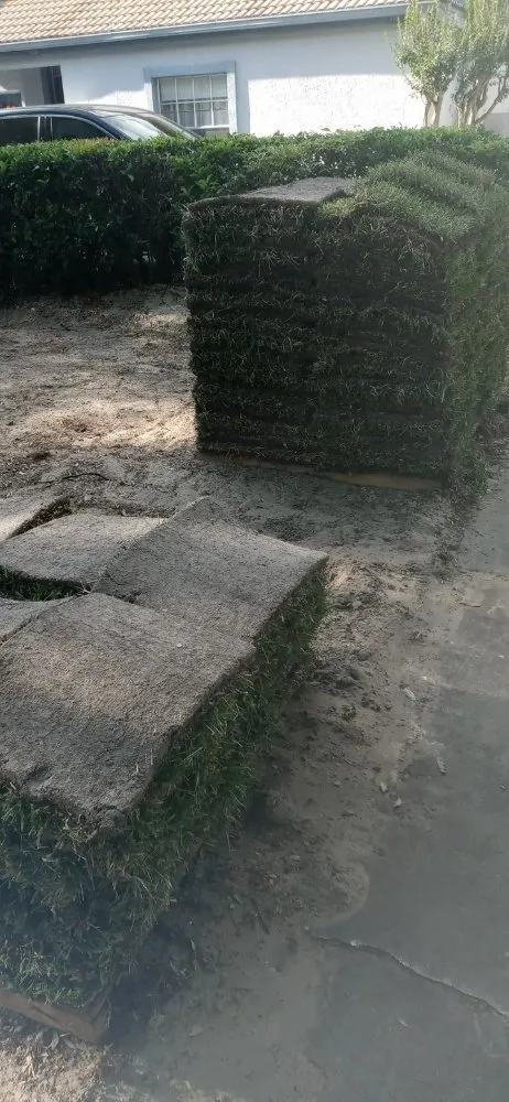 Professional outdoor landscaping in Orlando, FL by Retro Service