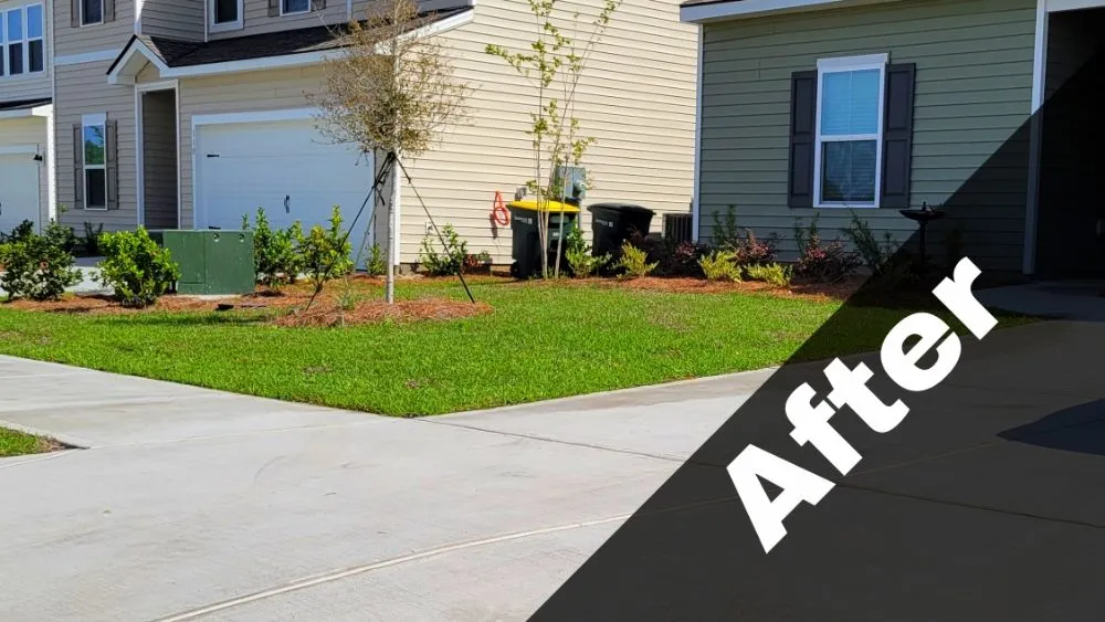 Custom yard cleanup service experts serving Savannah, GA - RetroCrew Sav