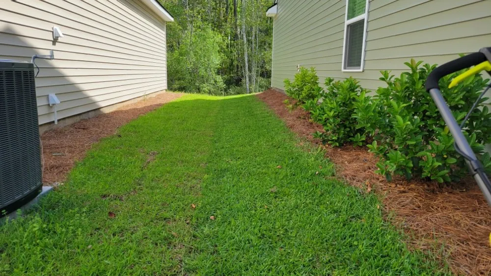 Professional landscape installation experts serving Savannah, GA - RetroCrew Sav