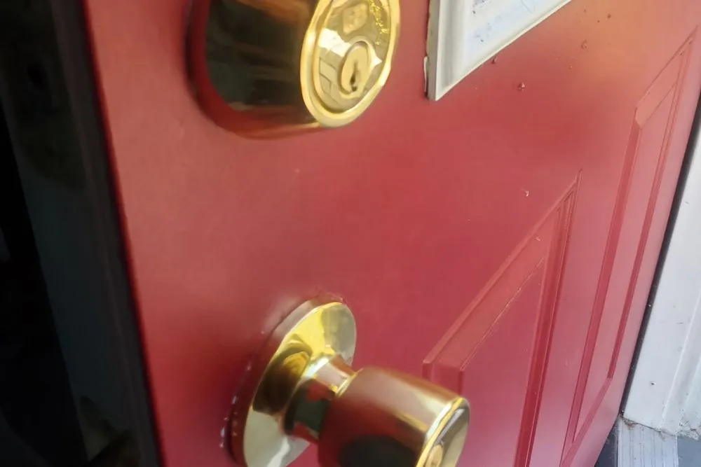 Custom outdoor landscaping for year-round maintenance in Savannah, GA by RetroCrew Sav