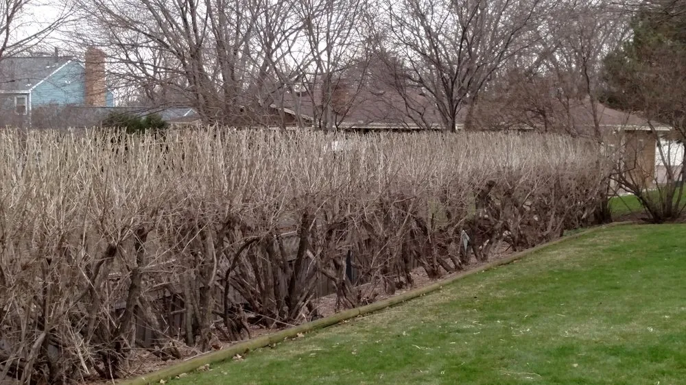 Professional garden landscaping for residential properties across Burnsville, MN - Rettmann Outdoor Services