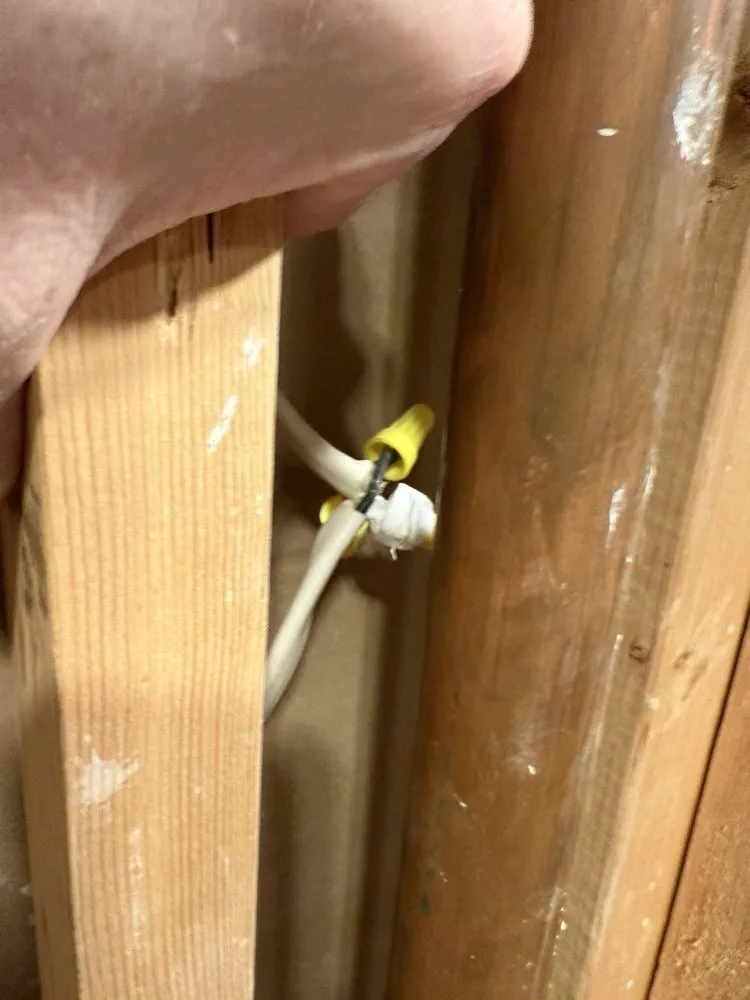 Reliable yard cleanup service in Chardon, OH by REV Property Services