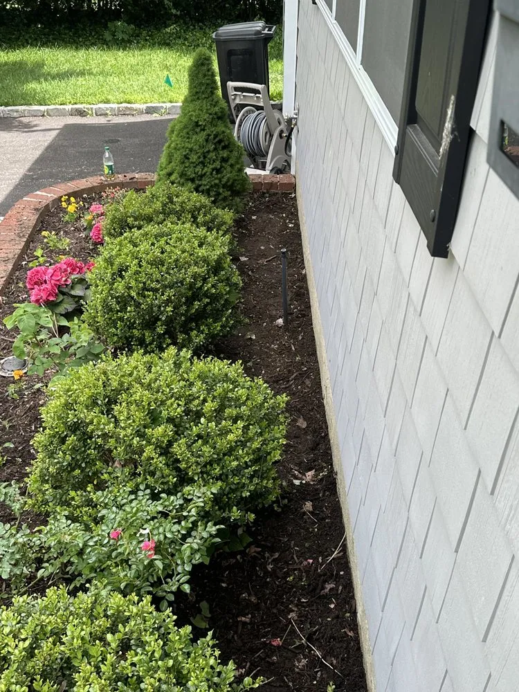 Top-rated yard cleanup service experts serving West Islip, NY - Revamp Homes
