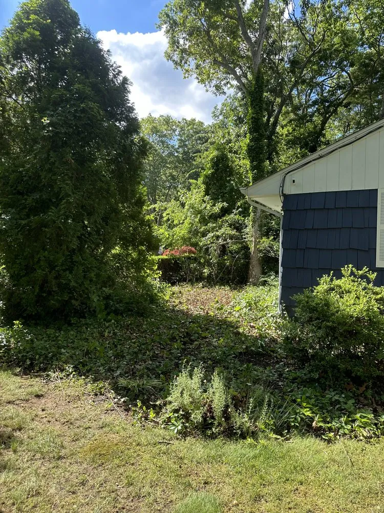 Trusted yard cleanup service in West Islip, NY by Revamp Homes