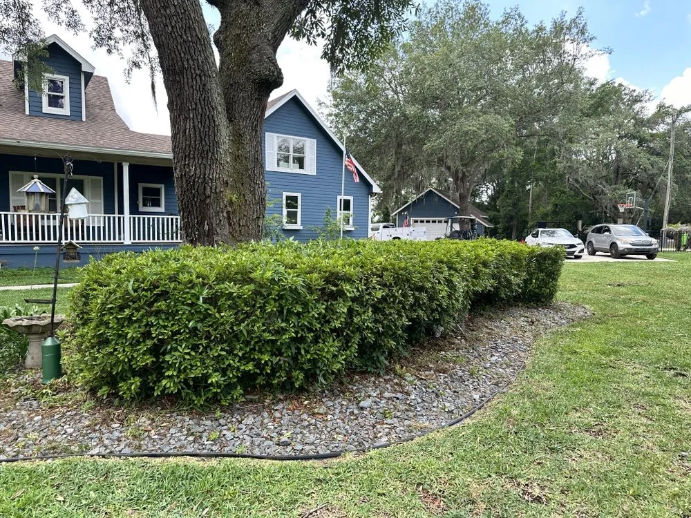 Affordable yard maintenance for year-round maintenance in Middleburg, FL by Revamp It