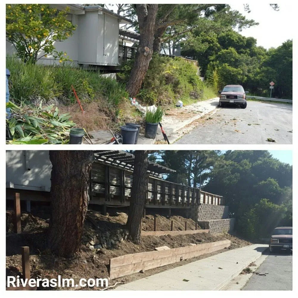 Reliable yard maintenance for residential properties across San Bruno, CA - Revamp Landscaping