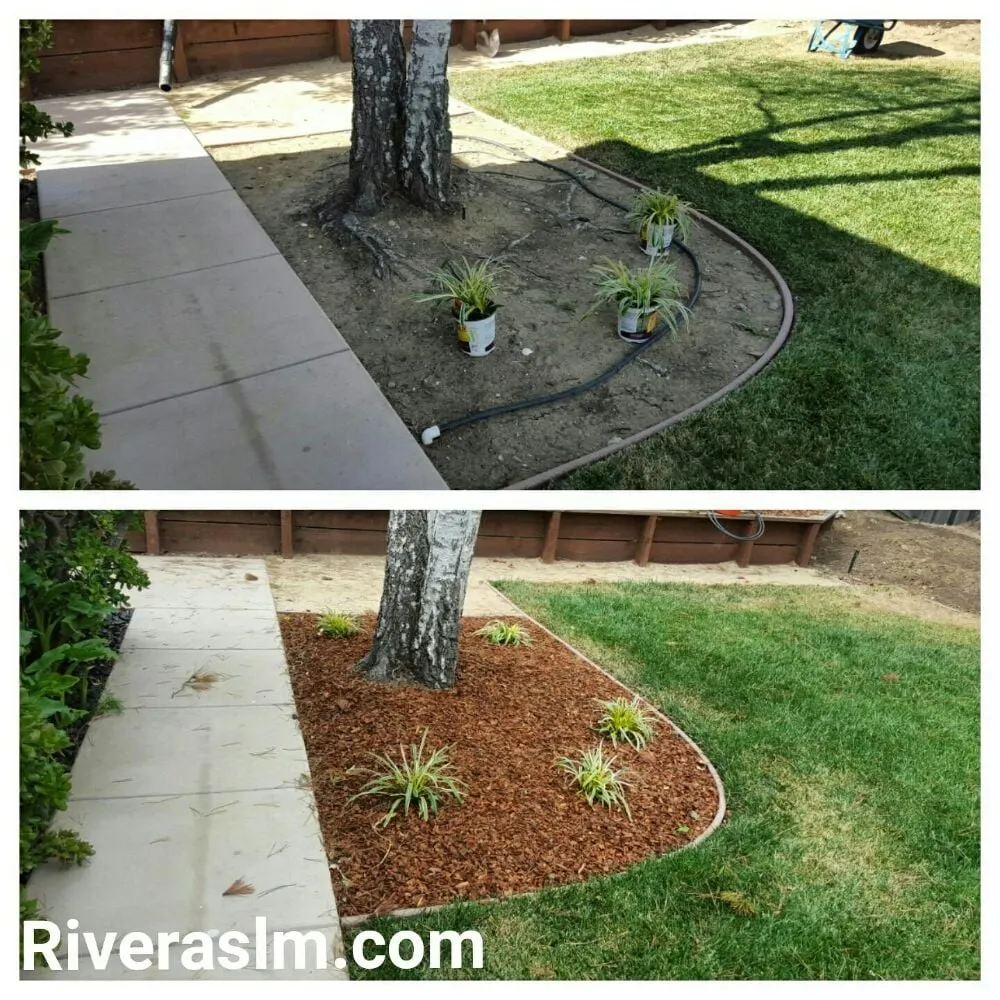 Affordable yard cleanup service for beautiful yards in San Bruno, CA by Revamp Landscaping