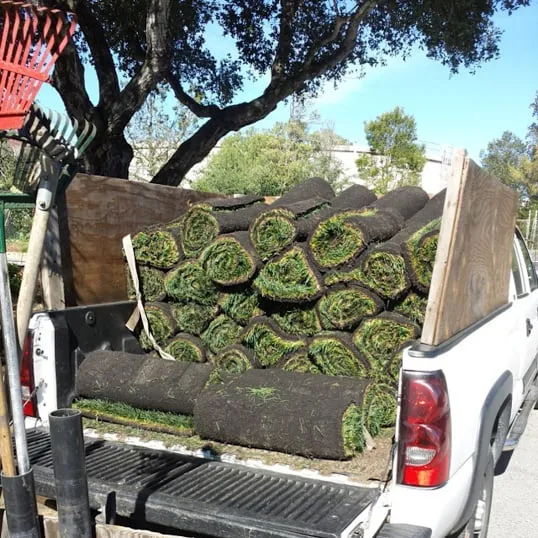 Custom outdoor landscaping for year-round maintenance across San Bruno, CA - Revamp Landscaping