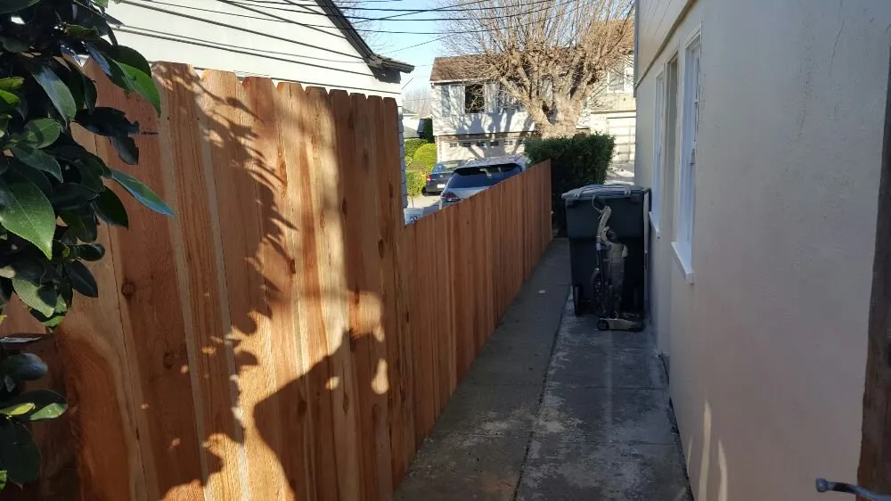 Top-rated yard maintenance in San Bruno, CA by Revamp Landscaping