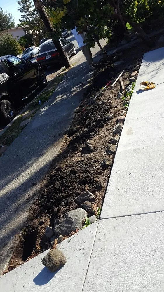 Expert landscape installation in San Bruno, CA by Revamp Landscaping