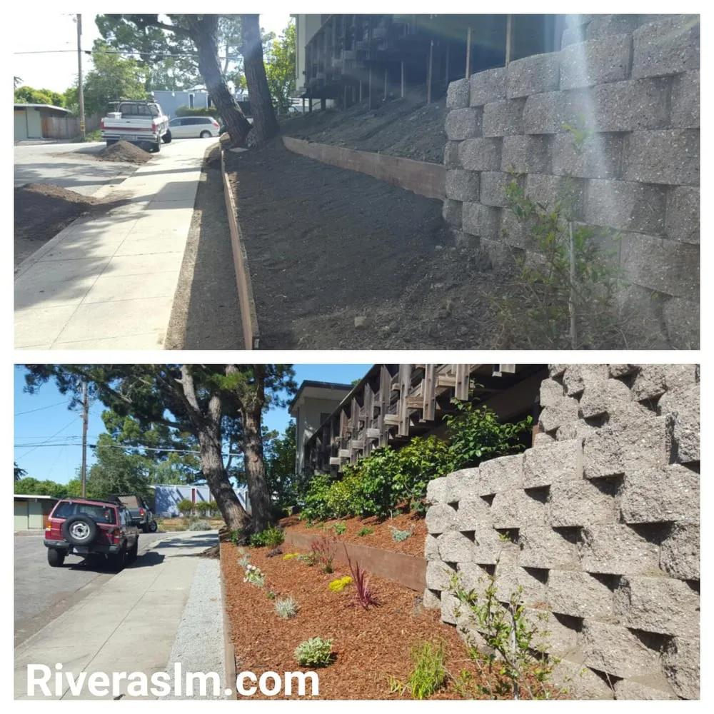 Professional yard maintenance with custom design across San Bruno, CA - Revamp Landscaping