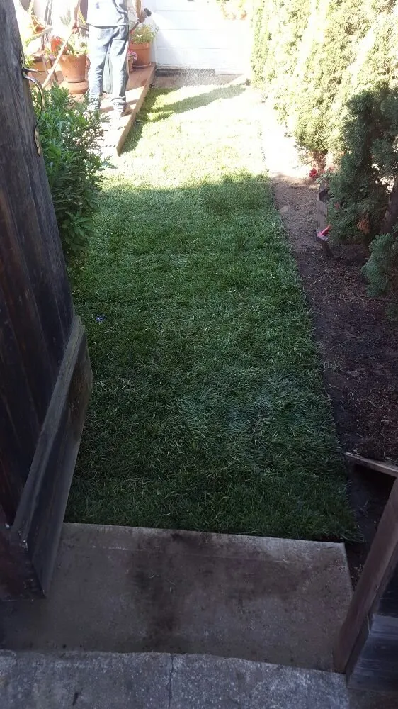 Custom landscaping services in San Bruno, CA - Revamp Landscaping