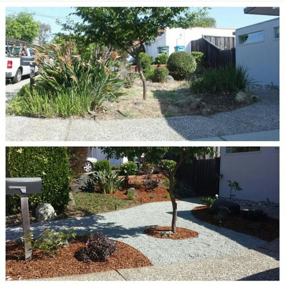 Local yard cleanup service in San Bruno, CA by Revamp Landscaping