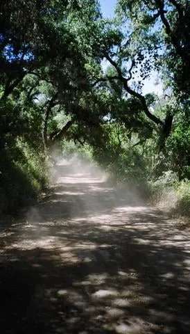 Trusted outdoor landscaping experts serving San Bruno, CA - Revamp Landscaping