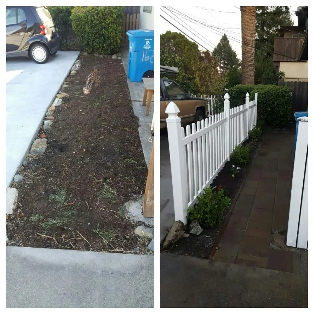 Affordable yard cleanup service for residential properties in San Bruno, CA by Revamp Landscaping
