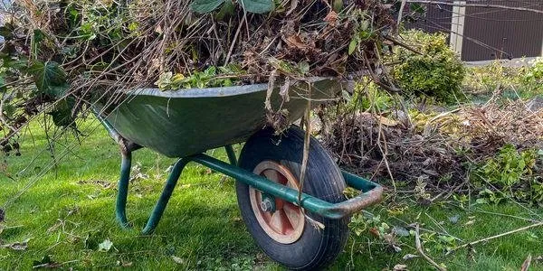 Top-rated lawn mowing service in Johnson City, TN by Revamp Lawncare and Property Improvement