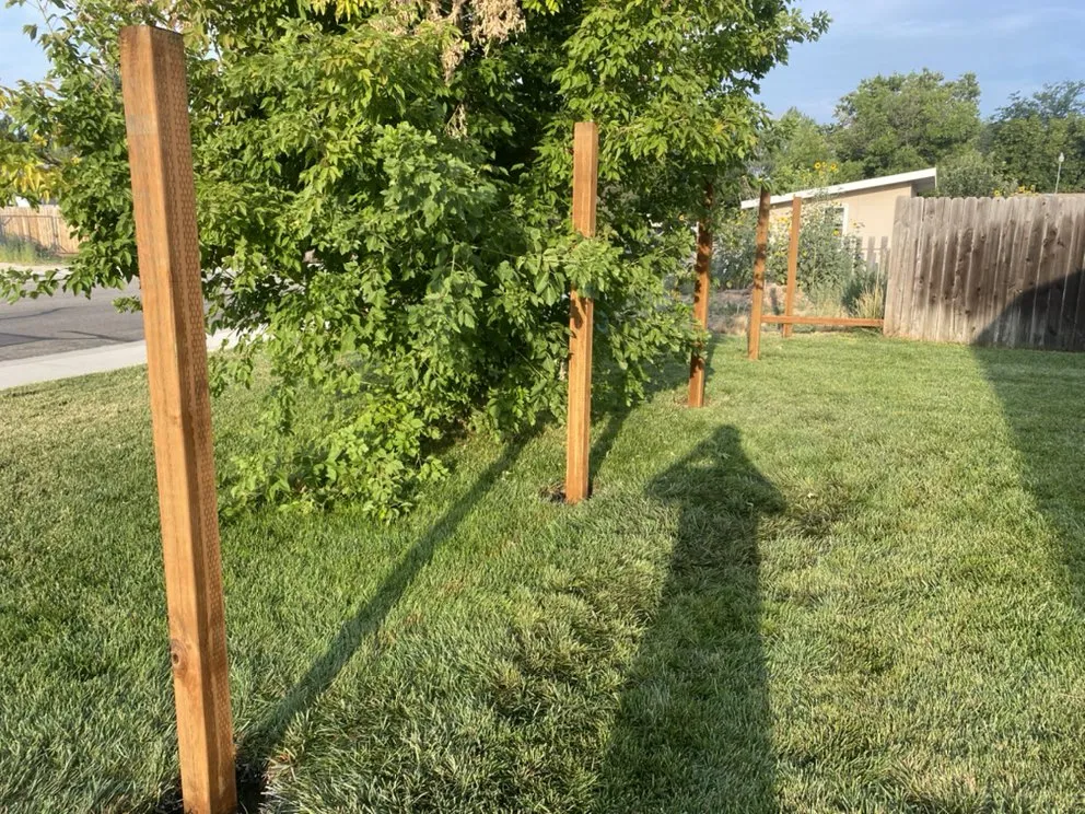 Professional yard cleanup service in Boise, ID by Revamped