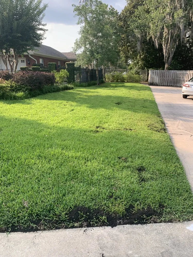 Top-rated yard maintenance experts serving Jacksonville, FL - Revamping Lawns