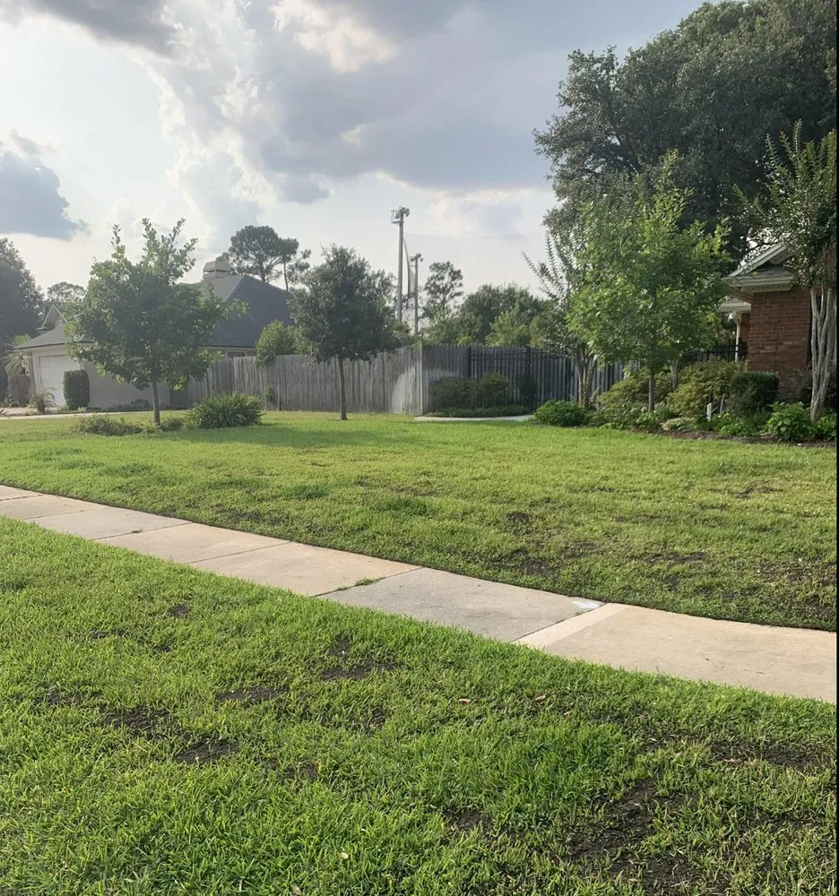 Local landscape design with custom design in Jacksonville, FL by Revamping Lawns