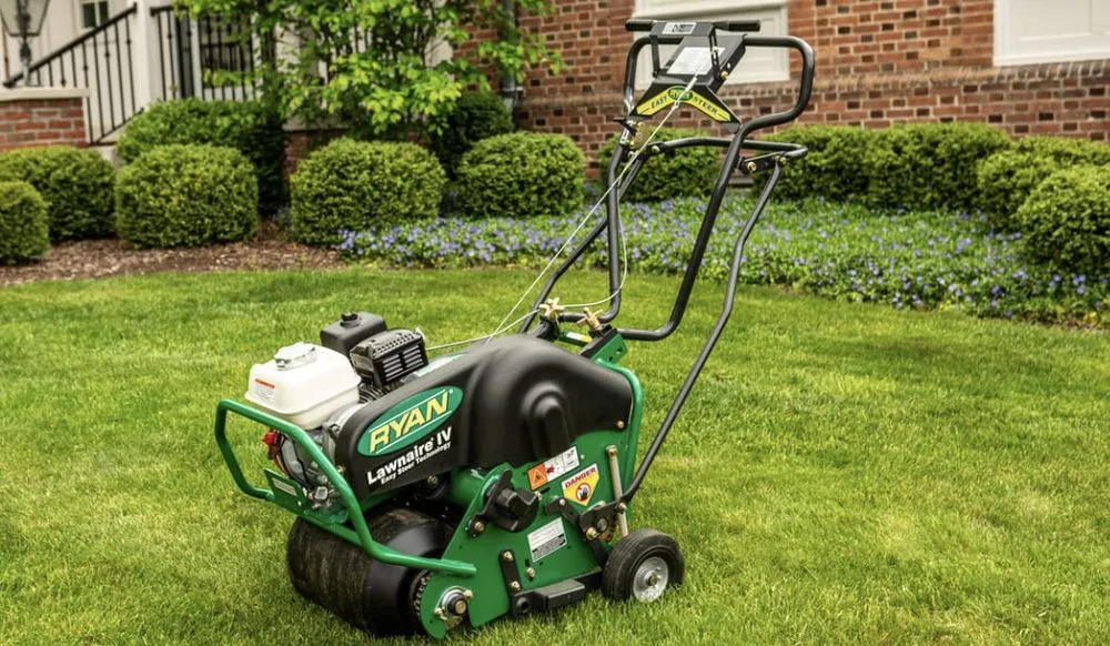Affordable lawn care service in Jacksonville, FL by Revamping Lawns