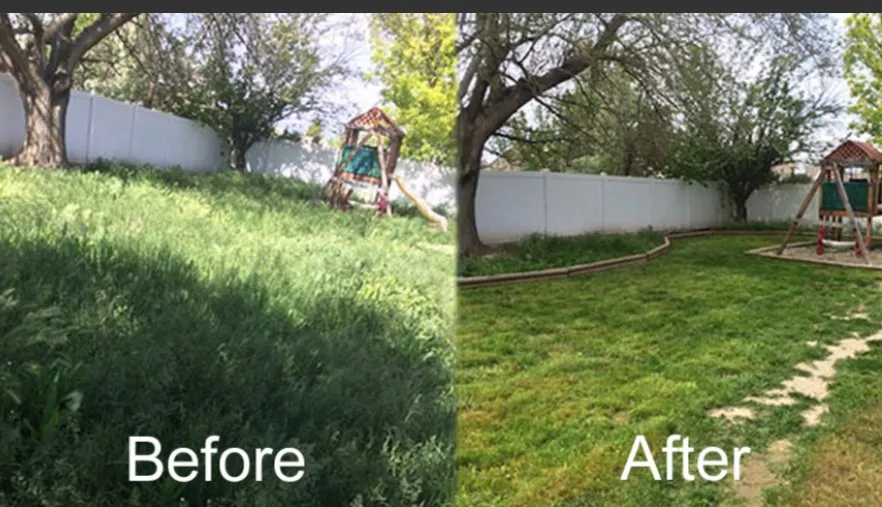 Trusted landscaping services experts serving Edwardsville, KS - Reveal Landscape