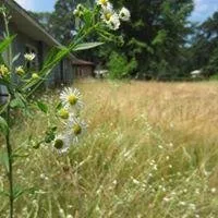 Local yard cleanup service in Muskegon, MI - Revelation Lawn and Snow