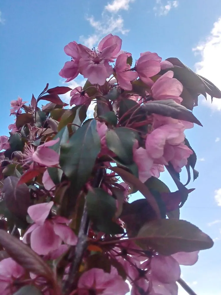 Top-rated lawn care service near you across Muskegon, MI - Revelation Lawn and Snow