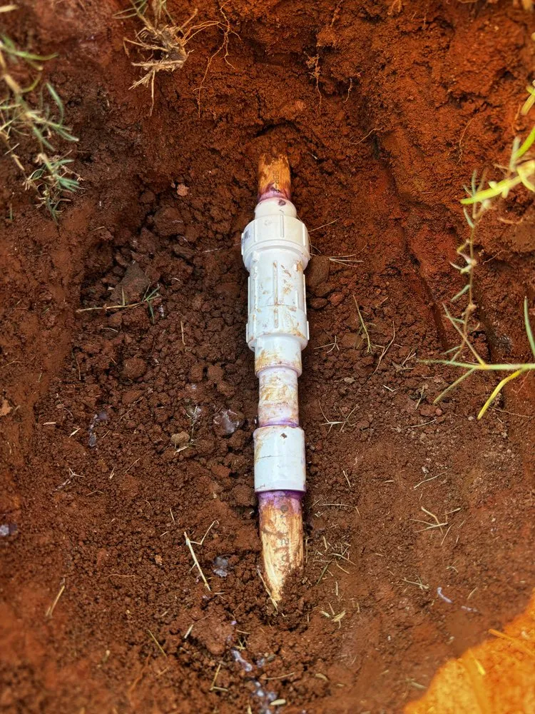 Affordable yard cleanup service for year-round maintenance across Inman, SC - Revelation Lawn Services