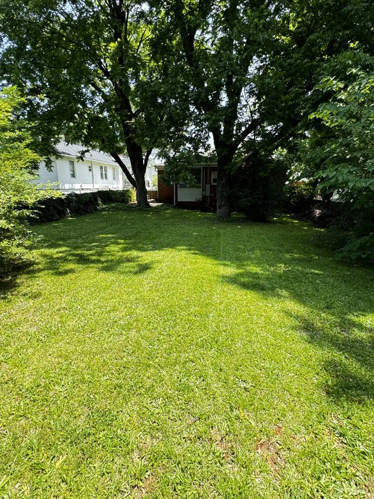 Trusted yard cleanup service experts serving Inman, SC - Revelation Lawn Services